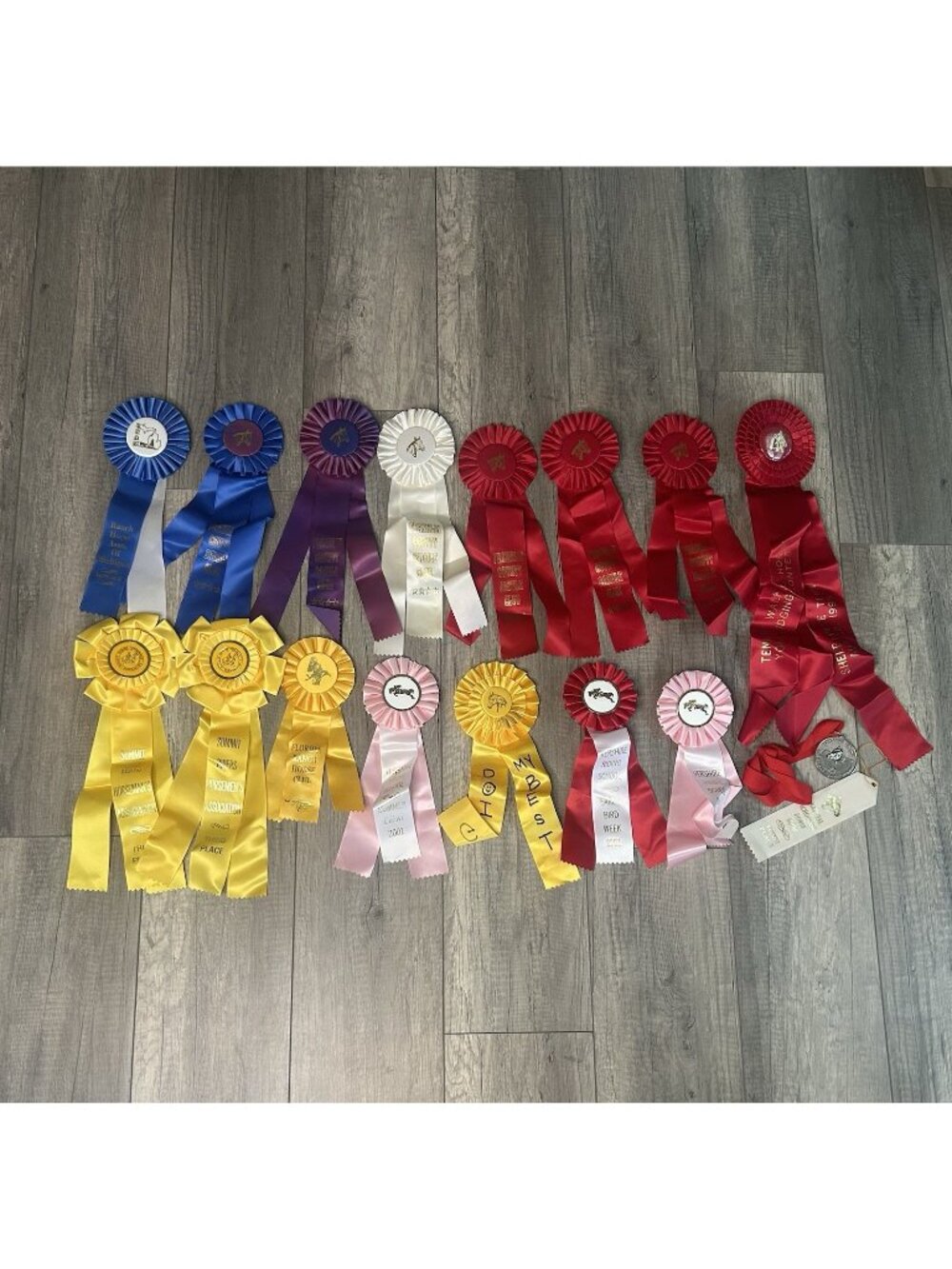 2000s Lot 15 horse show ribbons rosettes crafts TN Tennessee Saddle Clubs Yellow